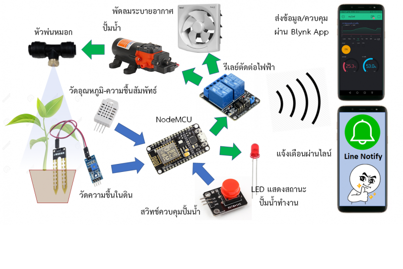Second slide